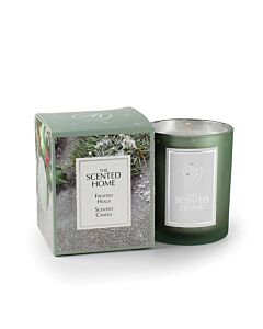Ashleigh & Burwood Frosted Holly Scented Jar Candle